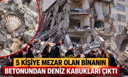İstanbul'da 5 Kişiye Mezar Olan Binanın Betonundan Deniz Kabukları Çıktı