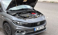 Otomobilin kaputundan yılan çıktı