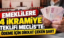 Emeklilere 4 ikramiye teklifi Meclis’te: Ödeme için dikkat çeken şart