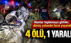 Mantar toplamaya gittiler, dönüş yolunda facia yaşandı: 4 ölü, 1 yaralı