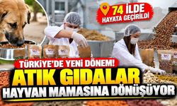 Türkiye'de 74 ilde yeni dönem! Yemek atıkları hayvan mamasına dönüşüyor