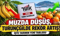 Alanya tarımında kritik dönem! TÜİK'in rakamları şaşırttı