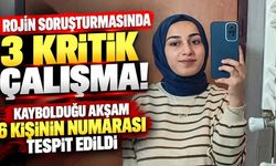 Rojin Kabaiş soruşturmasında kritik gelişme! 6 telefon numarası ve 11 araç mercek altında