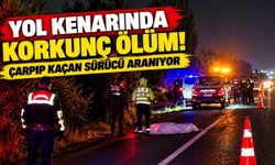 Yol kenarında korkunç ölüm! Çarpıp kaçan sürücü aranıyor