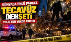 Dünyaca ünlü parkta cinsel saldırı dehşeti: Polis saldırganın peşinde