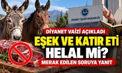 Eşek ve katır eti helal mi? Diyanet vaizinden merak edilen soruya yanıt