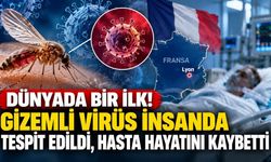Dünyada bir ilk! Gizemli virüs insanda tespit edildi, hasta hayatını kaybetti