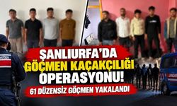 Şanlıurfa'da jandarmadan göçmen kaçakçılığı operasyonu! 61 kişi yakalandı