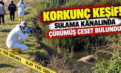 Sulama kanalında çürümüş erkek cesedi bulundu
