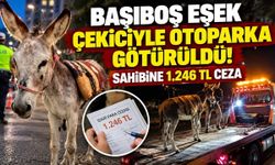 Eşeği otoparka çektiler, sahibine 1.246 TL ceza kestiler!