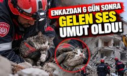 Enkazdan 6 gün sonra gelen ses umut oldu: Yaralı kurtarıldı