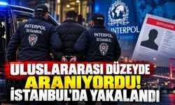 Uluslararası düzeyde aranıyordu! İstanbul'da yakalandı