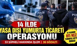14 ilde yasa dışı üreme hücresi ticareti operasyonu: 53 şüpheli hakkında işlem!