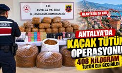 Alanya'da kaçak tütün operasyonu! 408 kilogram tütün ele geçirildi