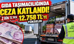 Gıda taşıyanlara yeni ceza! 2 bin liradan 12 bin 758 liraya yükseldi