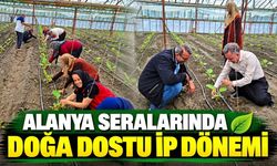 Alanya seralarında doğa dostu ip dönemi