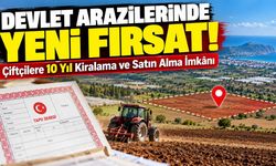 Devlet arazilerinde yeni fırsat! Çiftçilere 10 yıl kiralama ve satın alma imkânı