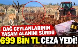 Ceylanların yaşam alanını sürdü, 699 bin TL ceza yedi!