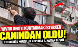 Yavru kediyi kurtarmak isterken canından oldu!