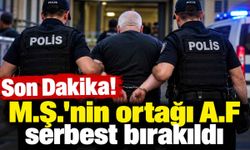 Aydın Çavuşoğlu'nun ölümünden sorumlu tuttuğu M.Ş.'nin ortağı gözaltına alınmıştı: İşte yeni gelişmeler