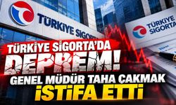 Türkiye Sigorta’da deprem! Genel Müdür Taha Çakmak istifa etti
