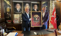 Çavuşoğlu'ndan MHP'li Türkdoğan'a tebrik