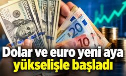 Dolar ve euro yeni aya yükselişle başladı