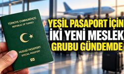 Yeşil pasaport için iki yeni meslek grubu gündemde
