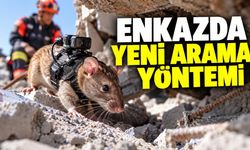 Antalya’da kahraman fareler enkaz testinde kazazedeyi buldu