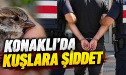 Alanya'da kuşlara şiddet şüphelisi tutuklandı