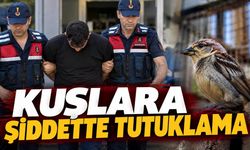 Alanya’da kuşları öldürüp görüntüleri paylaşan Yusufcan Turay tutuklandı