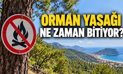 2026 orman yasakları ne zaman bitiyor? Alanya için tarih belli