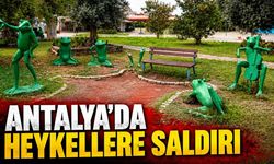Antalya'da kurbağa heykellerine zarar verildi: Biri söküldü, diğeri parçalandı