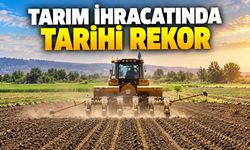 Türkiye'nin tarım ihracatı 27,1 milyar dolarla rekor kırdı