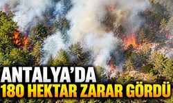 Antalya'da 180 hektar alan yandı: 6 şüpheli gözaltında