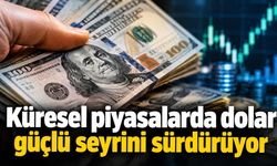 Küresel piyasalarda dolar güçlü seyrini sürdürüyor