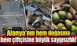 Alanya'nın hem doğasına hem çiftçisine büyük saygısızlık!
