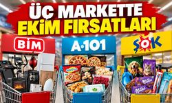 BİM, A101 ve ŞOK'un 17 Ekim katalogları karşılaştırıldı