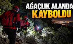 Antalya'da ağaçlık alanda kaybolan kişi 19 kilometre uzakta bulundu