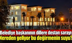 Belediye başkanının dillere destan sarayı: Nereden geliyor bu değirmenin suyu?