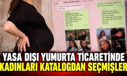Yasa dışı yumurta ticaretinde kadınları katalogdan seçmişler