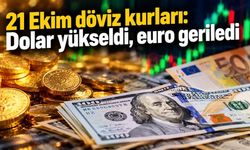 21 Ekim döviz kurları: Dolar yükseldi, euro geriledi