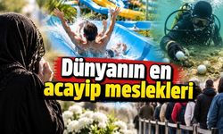 Dünyanın en acayip meslekleri