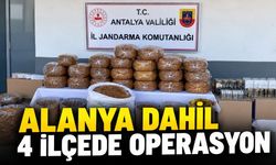 Alanya dahil dört ilçede kaçak tütün operasyonu düzenlendi