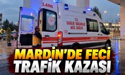 Mardin'de otomobil su kanalına düştü: 4'ü çocuk 6 ölü