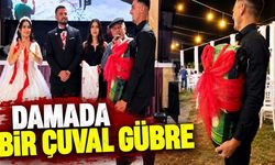 Serik'te ziraat mühendisi damada düğünde bir çuval gübre hediye edildi