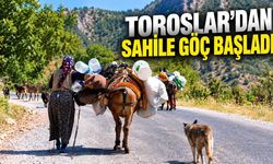 Alanya'da Yörüklerin Toroslar'dan sahile dönüş göçü başladı