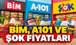BİM, A101 ve ŞOK aktüel kataloglarında fiyat karşılaştırması
