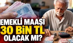 Emekli maaşında 30 bin TL senaryosu: Ocak zammı hesaplandı