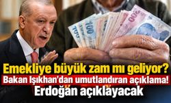 Emekliye büyük zam mı geliyor? Bakan Işıkhan'dan umutlandıran açıklama! Erdoğan açıklayacak